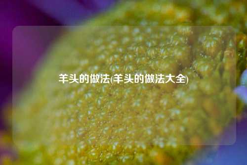 羊头的做法(羊头的做法大全)