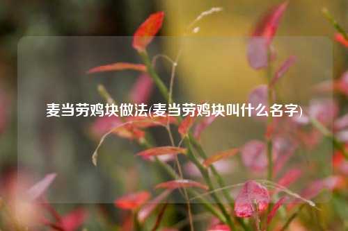麦当劳鸡块做法(麦当劳鸡块叫什么名字)