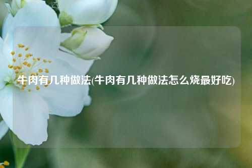 牛肉有几种做法(牛肉有几种做法怎么烧最好吃)
