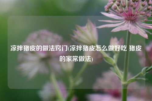 凉拌猪皮的做法窍门(凉拌猪皮怎么做好吃 猪皮的家常做法)