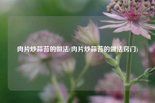 肉片炒蒜苔的做法(肉片炒蒜苔的做法窍门)