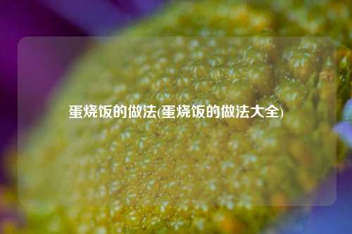 蛋烧饭的做法(蛋烧饭的做法大全)
