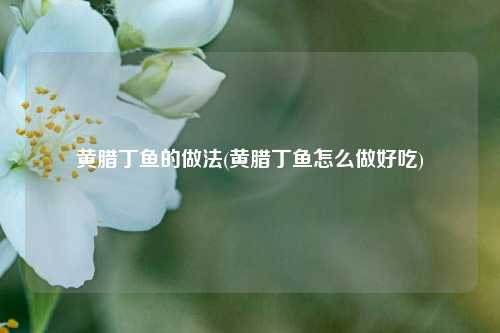 黄腊丁鱼的做法(黄腊丁鱼怎么做好吃)