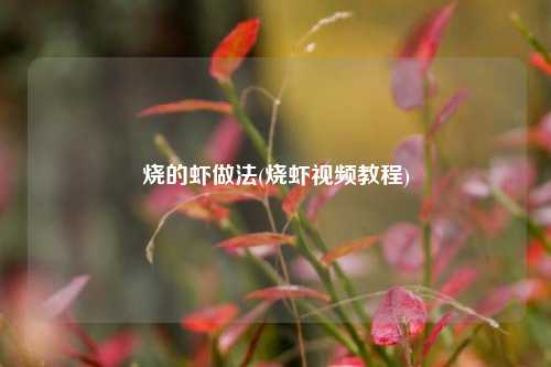 烧的虾做法(烧虾视频教程)