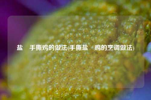 盐焗手撕鸡的做法(手撕盐焗鸡的烹调做法)