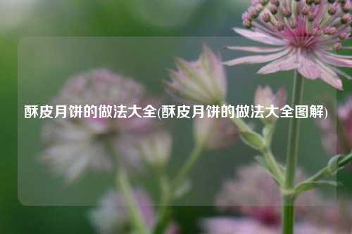酥皮月饼的做法大全(酥皮月饼的做法大全图解)