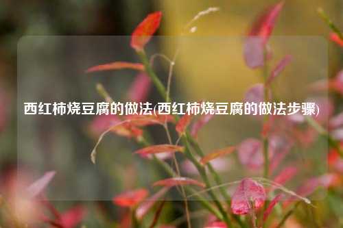 西红柿烧豆腐的做法(西红柿烧豆腐的做法步骤)