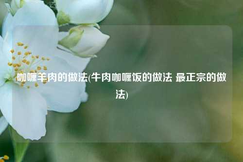 咖喱羊肉的做法(牛肉咖喱饭的做法 最正宗的做法)