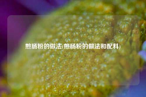 煎肠粉的做法(煎肠粉的做法和配料)