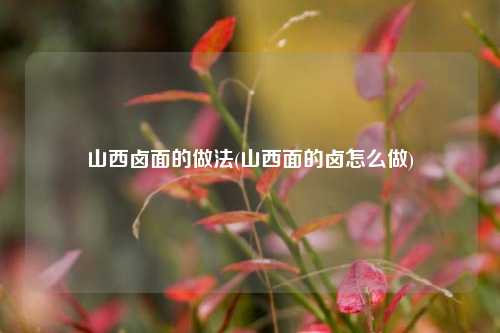 山西卤面的做法(山西面的卤怎么做)