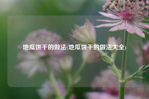 地瓜饼干的做法(地瓜饼干的做法大全)